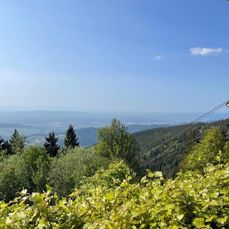 Neue Ferienwohnung Mit Whirlpool Und Sauna In Der Residenz Grafenmatt Inklusive Hochschwarzwaldcard Фелдберг Екстериор снимка