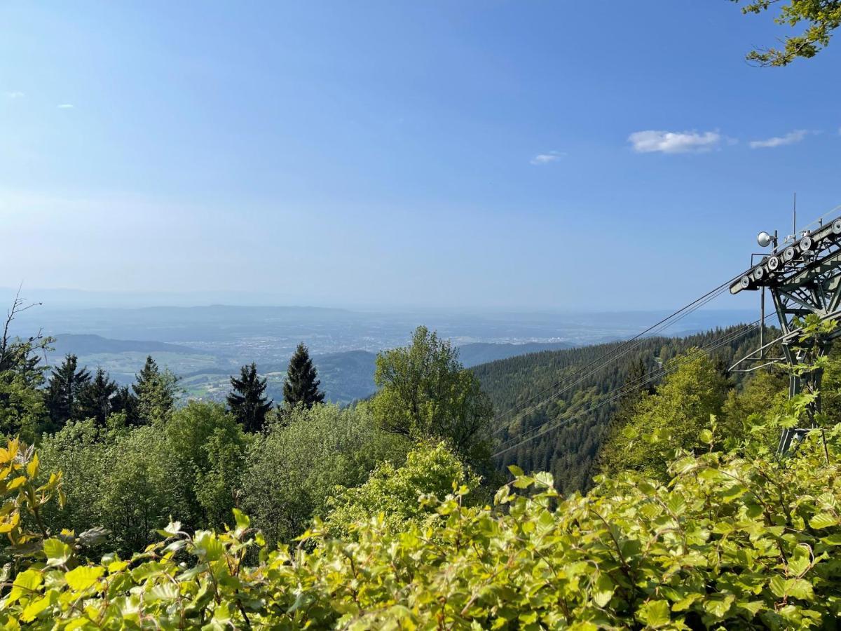 Neue Ferienwohnung Mit Whirlpool Und Sauna In Der Residenz Grafenmatt Inklusive Hochschwarzwaldcard Фелдберг Екстериор снимка